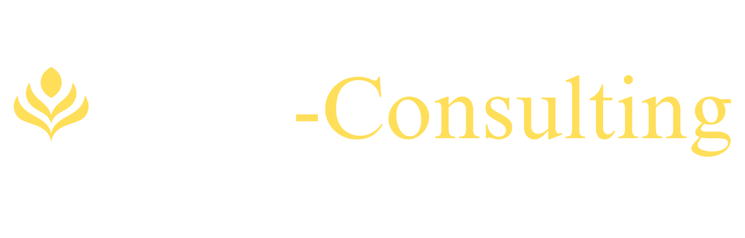 www.afim-consulting.om
